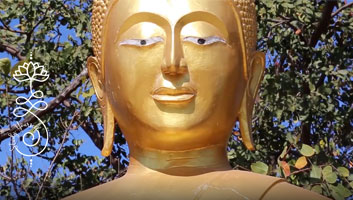 Alan Watts ~ The Lesson You Must Learn From My Work