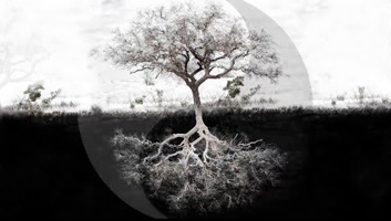 How To Reach Higher Levels Of Consciousness