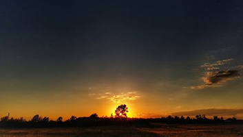 Is Earth The Only Human Physical Planetary Habitat At This Time