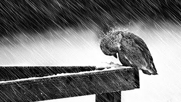Overcoming Depression